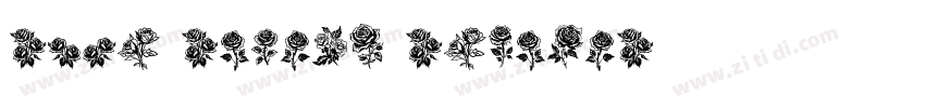 rose ruzaiq Regular字体转换